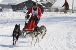 Lenk 2012 SM